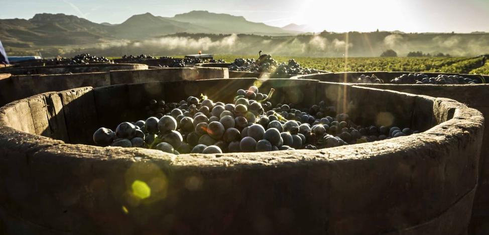 Los paisajes de Rioja viajan a la Borgoña