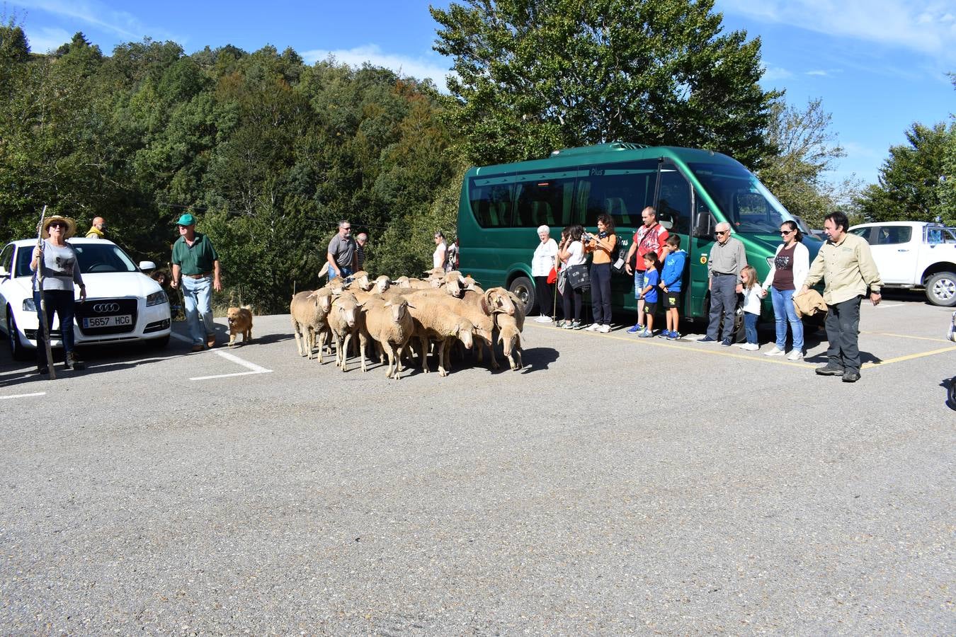 Fiesta de la Trashumancia en la Venta de Piqueras