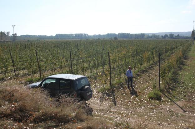 En el campo alfareño desde la cuna