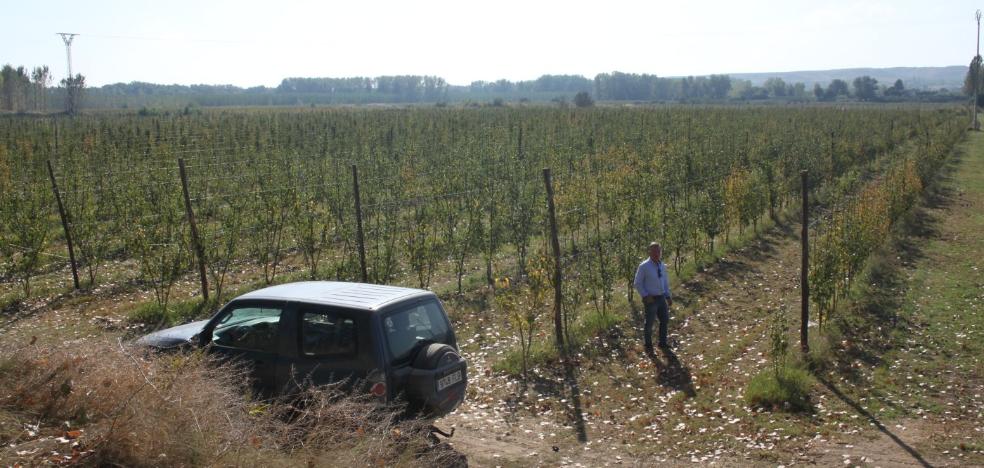 En el campo alfareño desde la cuna