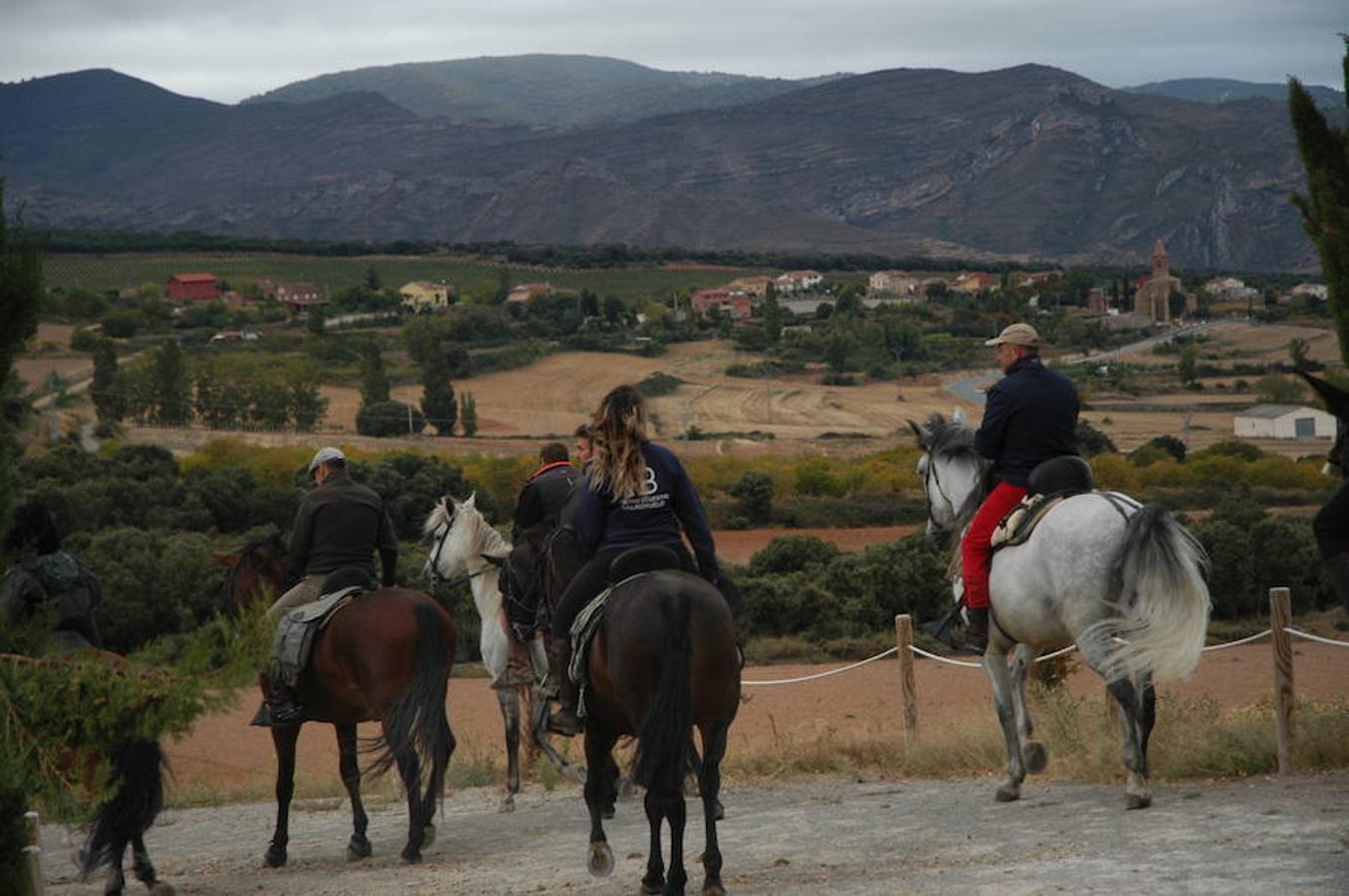 Ruta ecuestre por Ocón