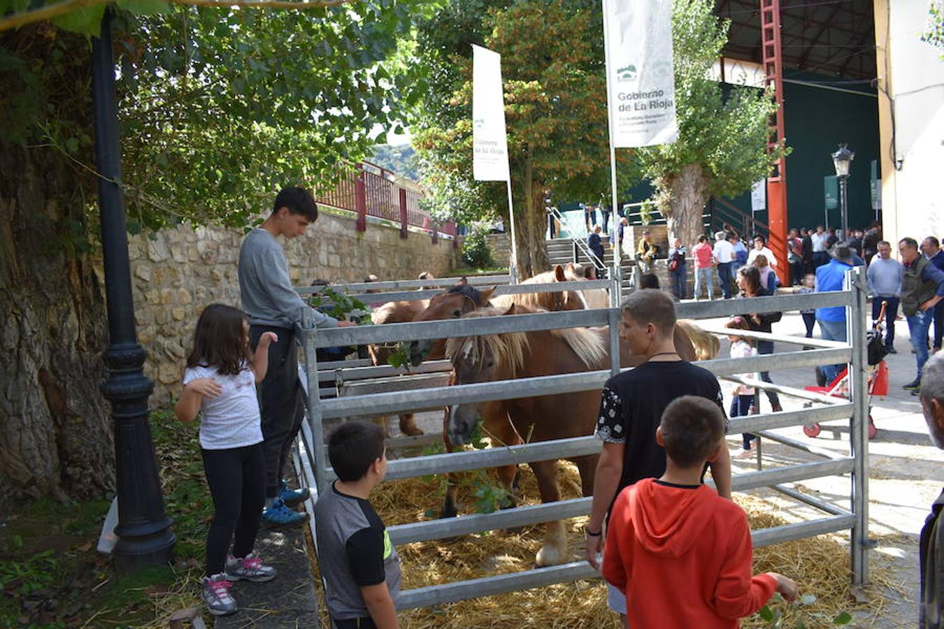 Feria del ganado de Villoslada