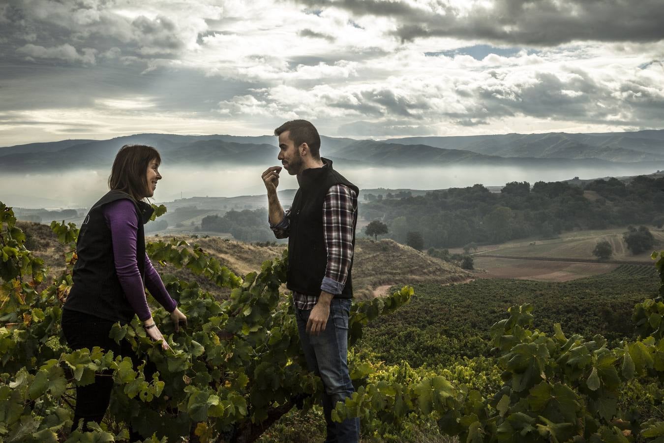 La vendimia se dirige a su final