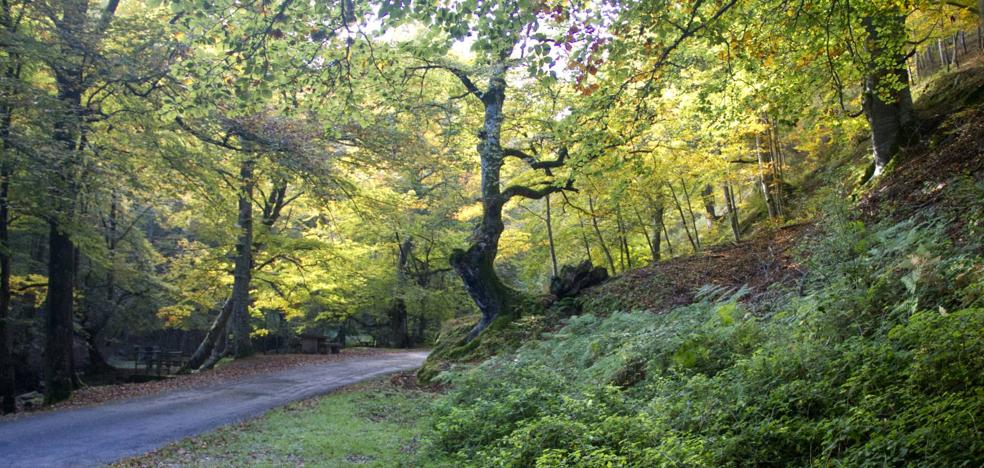 Los colores del otoño en La Rioja