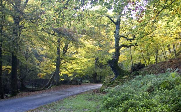 Los colores del otoño en La Rioja