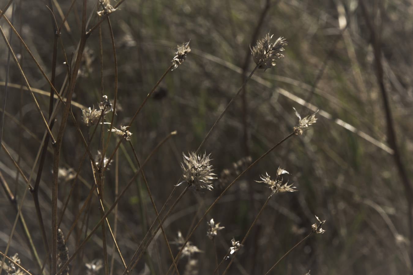 Los colores del otoño en La Rioja