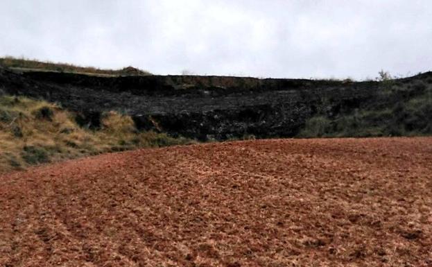 Rápida intervención en un incendio de matorral en Badarán