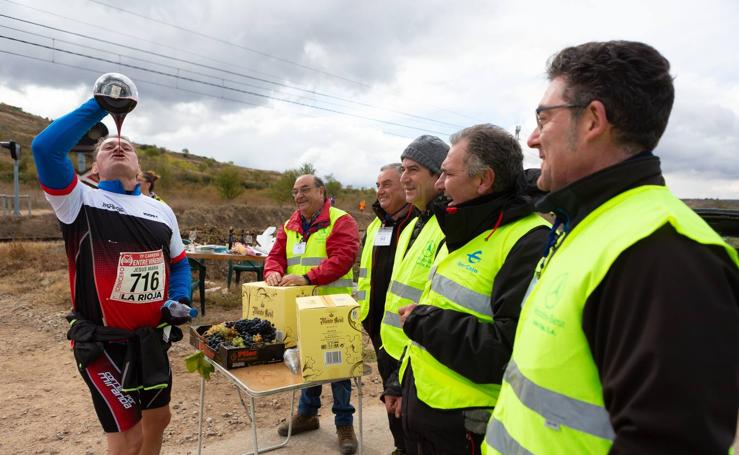 Carrera Entreviñedos (I)