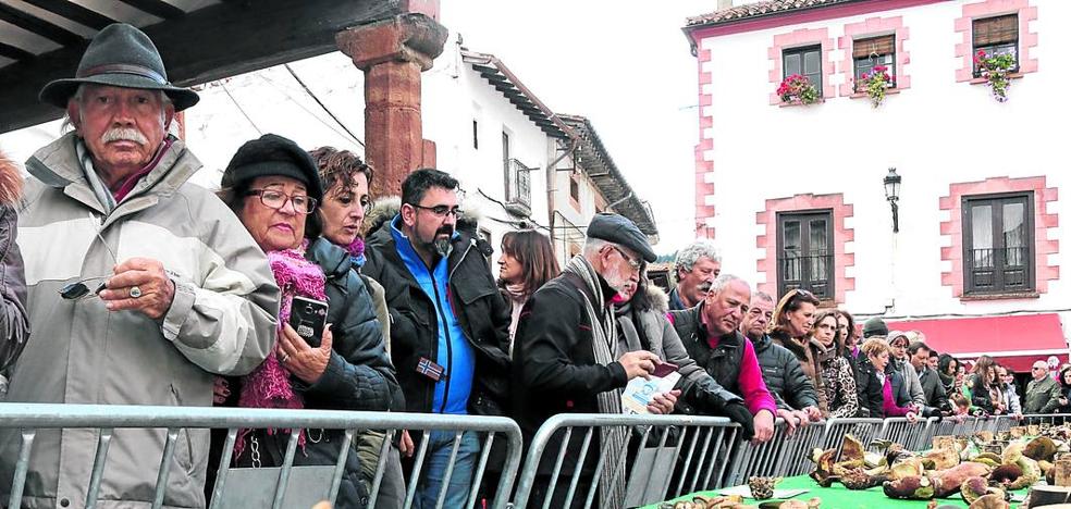 Ezcaray se llenará de setas