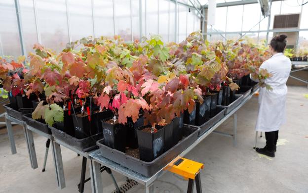 Larga vida al Instituto de la Vid y del Vino