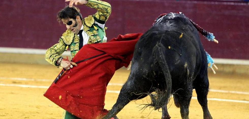 El torero Juan José Padilla recibe agradecido el Premio Nacional de Tauromaquia en el año de su retirada