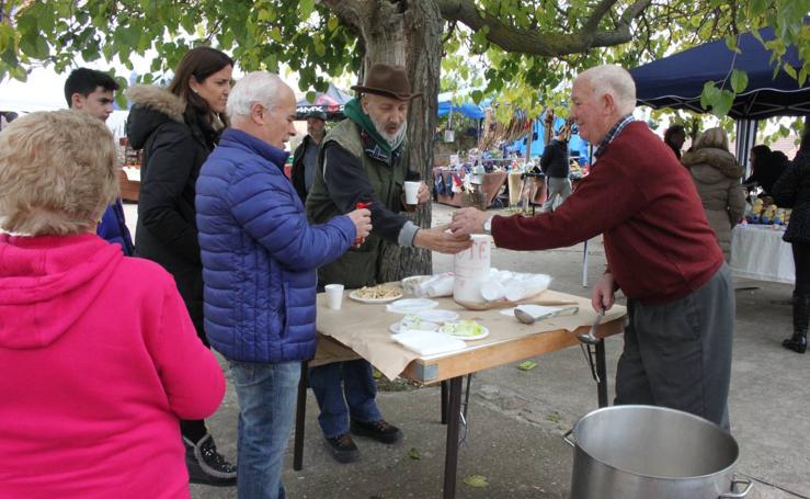 XXV Jornadas Micológicas de Villarroya