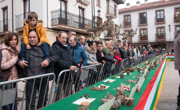 Los otros frutos del bosque se exponen en Ezcaray