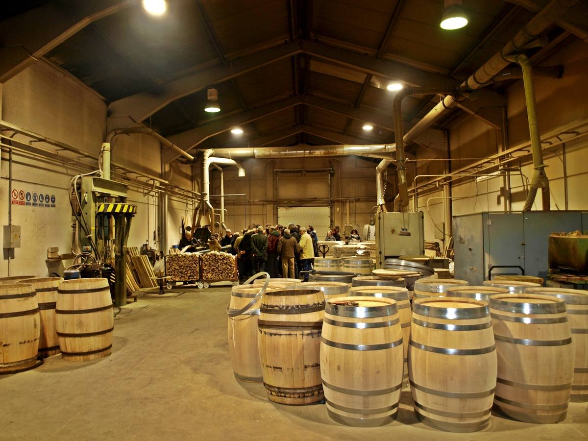 XVI Curso de Enología ´Ciudad de Cenicero´