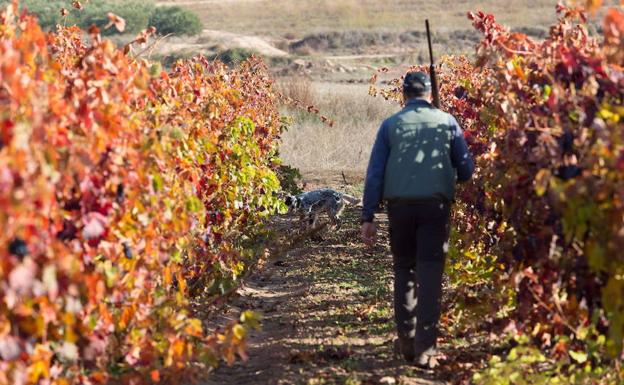 Un hombre recibe un disparo en el rostro en un accidente de caza en Alfaro