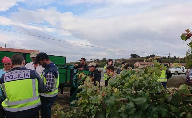 Diecisiete detenidos en Rioja Alavesa durante la campaña de inspección de la vendimia