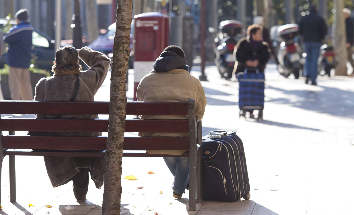 255 bancos nuevos para Logroño