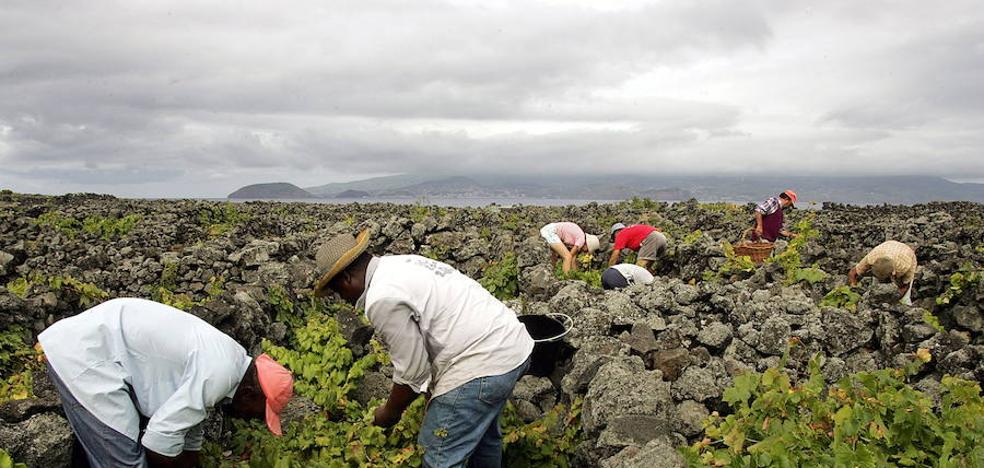 Dos de cada tres trabajadores migrantes están en países de ingresos altos