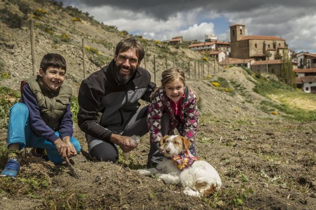 La Rioja ensaya la viabilidad de nuevos cultivos y técnicas en 25 campos de experimentación