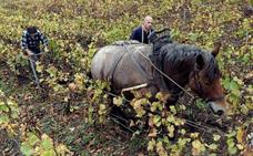 La agricultura pierde fuelle en la creación de empleo mientras la construcción se rearma