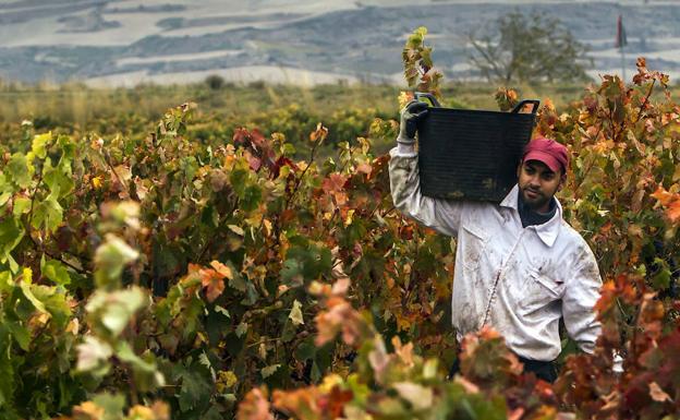 La Rioja pierde más de un 13 % de trabajadores extranjeros en noviembre