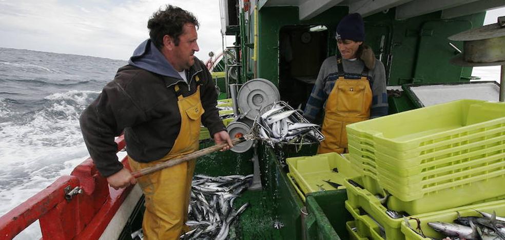 La UE se prepara para el cierre de las aguas británicas a sus pescadores por un 'brexit' sin acuerdo