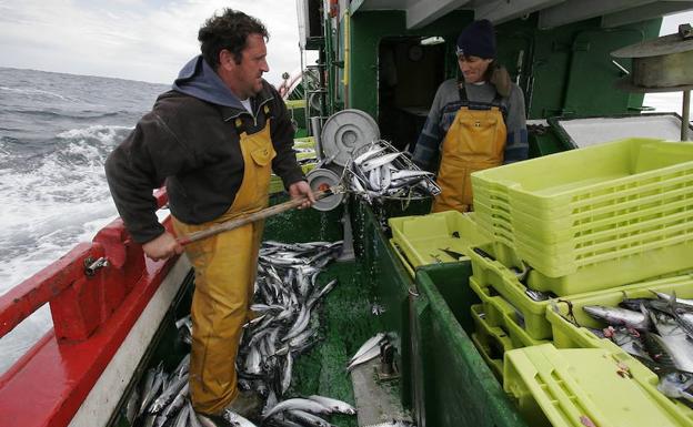 La UE se prepara para el cierre de las aguas británicas a sus pescadores por un 'brexit' sin acuerdo