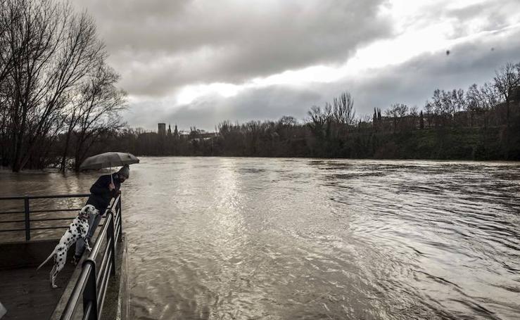 La crecida del Ebro y del Iregua en Logroño