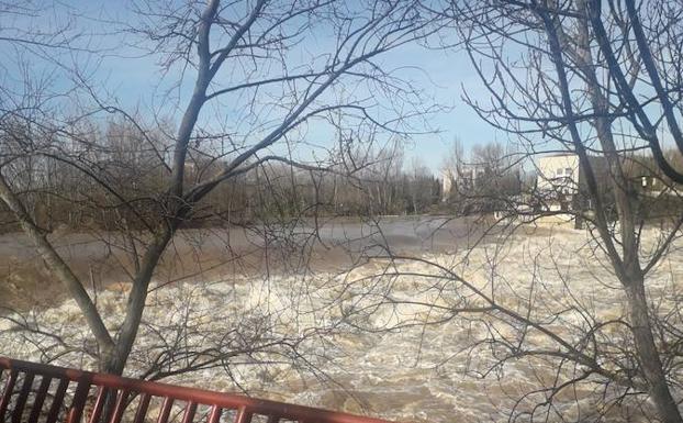 Remite el caudal del Ebro en Logroño mientras avanza hacia Calahorra