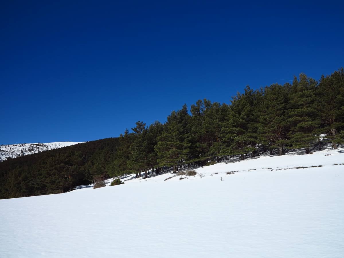 Nieve y sol en El Rasillo