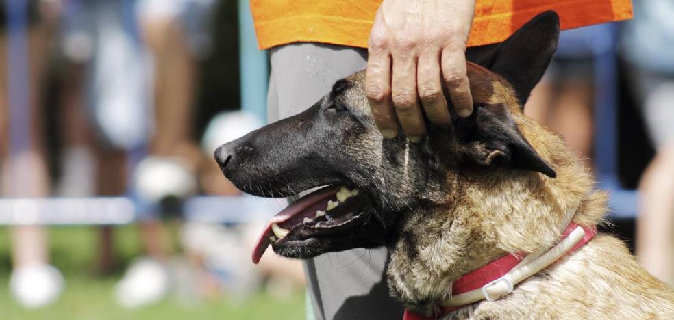 Haro acogerá la Copa de España de Perros de Trabajo el 16 y el 17 de marzo