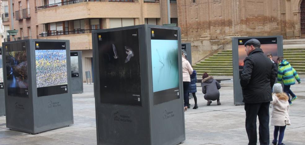 Exposición de medio ambiente, en la plaza