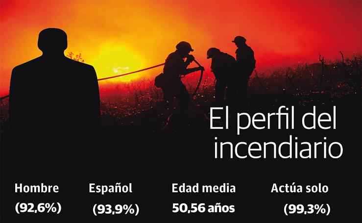 El perfil del incendiario