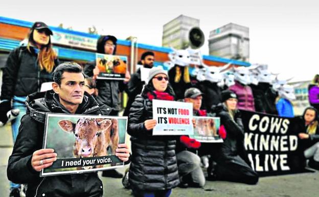 Al matadero con amor