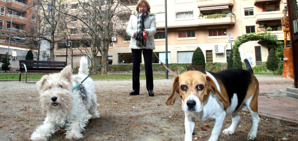 La Plataforma de 'No a la ley de protección animal' presenta una queja ante el Defensor del Pueblo