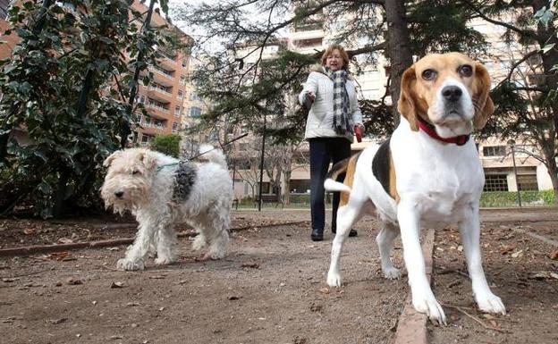 Más perros que hijos
