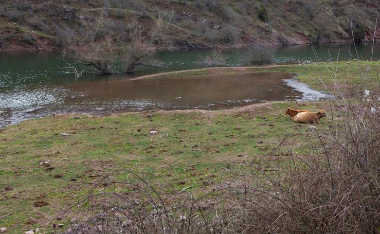 Estado del pantano de Mansilla y sus alrededores