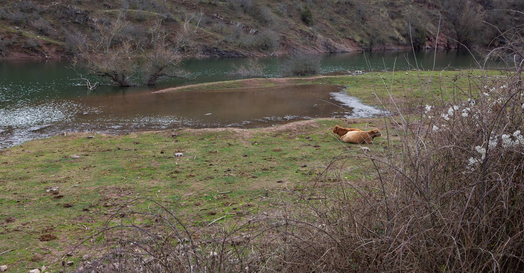 Estado del pantano de Mansilla y sus alrededores