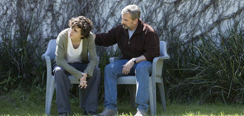 'Beautiful Boy': El amor por un hijo yonqui