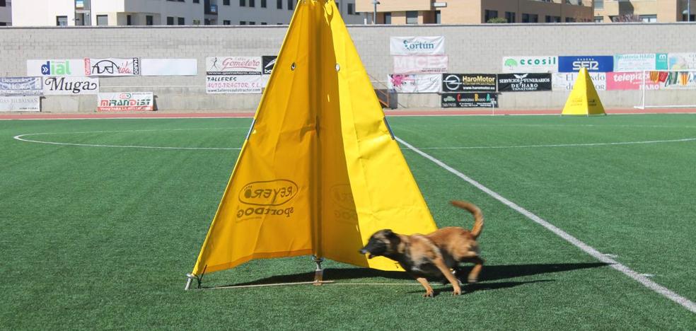 La élite canina se presenta en Haro