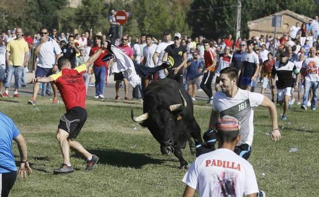 El Supremo cierra a Tordesillas la última vía para defender el Toro de la Vega