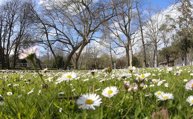 La primavera comienza este miércoles a las 22:58 horas y durará 92 días