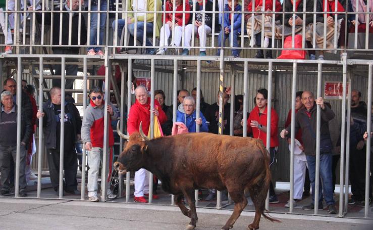 Arnedo disfruta de su segundo día de las fiestas de San José