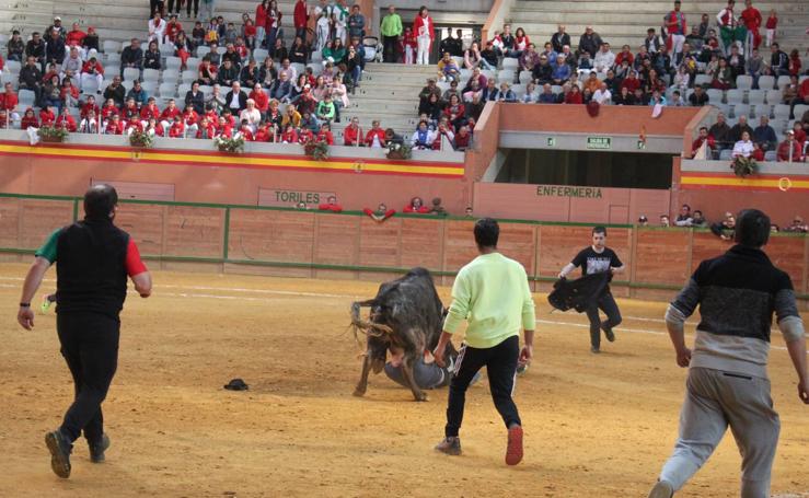 Arnedo disfruta del cuarto día de fiestas de San José