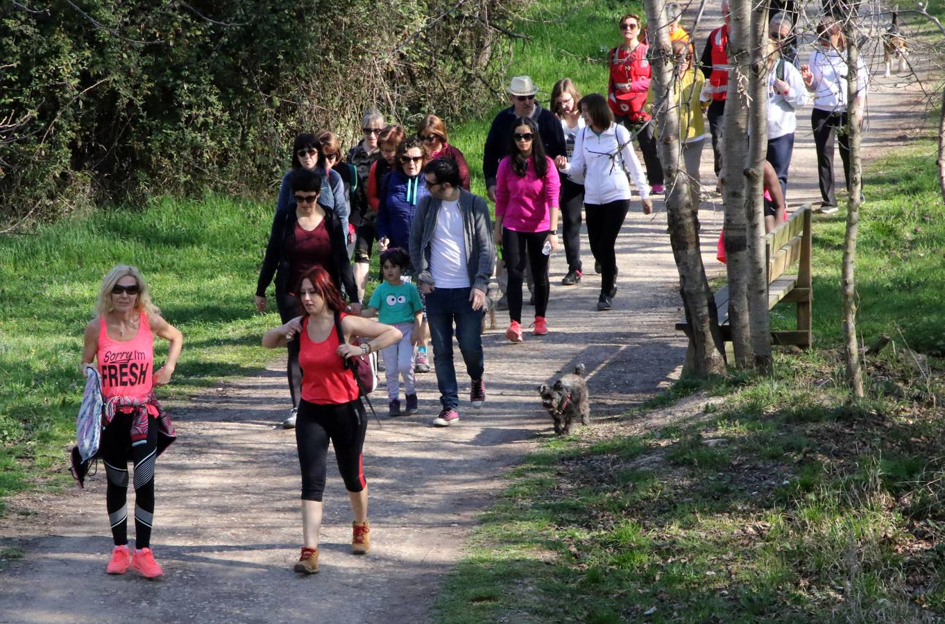 Unas 1.500 personas participan en el primer paseo saludable