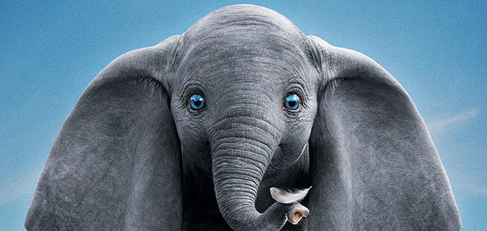 Dumbo domestica a Tim Burton