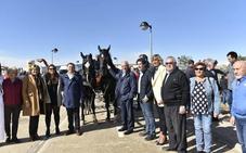 Los caballos de monta, protagonistas de la feria de ganado de Rincón de Soto