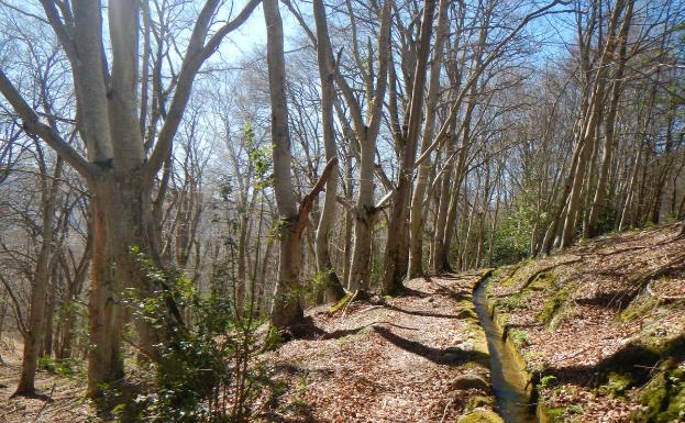 Rutas en BTT: La Regadera de Sorzano, agua y bosques de Moncalvillo