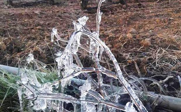 Posibles heladas en La Rioja este fin de semana