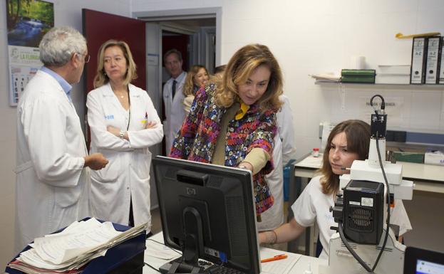 Una prueba de sangre en el San Pedro reducirá a la mitad el número de amniocentesis